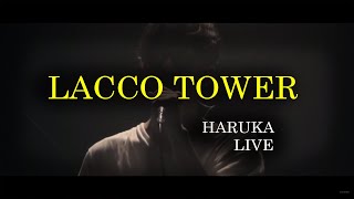 LACCO TOWER  HARUKA LIVE [upl. by Christensen149]