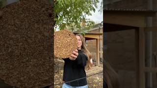 DIY Block Treat For Chickens backyardhomestead makeyourown diy chickenkeeping recipe chickens [upl. by Senn]