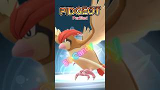 From Pidgeotto to Pidgeot  PokemonGo evolution pokemon pokemongame pokemongo [upl. by Short]