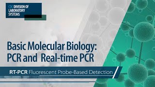 Basic Molecular Biology PCR and RealTime PCR – RTPCR Fluorescent ProbeBased Detection [upl. by Ahselet]