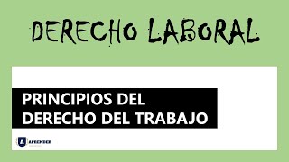 Principios del Derecho Laboral [upl. by Nnaasil]