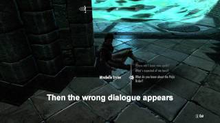 Skyrim  REVEALING THE UNSEEN  GlitchBug [upl. by Kassey]