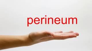 How to Pronounce perineum  American English [upl. by Nannek]