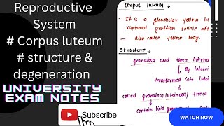 Corpus luteumfate of corpus luteumstructure of corpus luteumfunctions of corpus luteum [upl. by Eissat598]