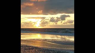 Ostend beach 1692024 oostende strand incl Great Dane [upl. by Nylynnej]