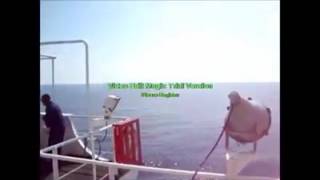 Ethiopian Crew Fighting With Somalian Pirates  We Are Navigators [upl. by Cadell]