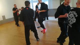 Kicking Repeticions At Tommy Carruthers Seminar Germany 2019 [upl. by Steck]