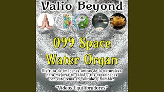 099 Space Water Organ [upl. by Rosenfeld]