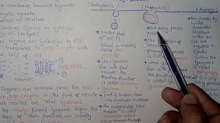 Lysosomes Structure And Functions  Federal And KPK Board  Ali Academy [upl. by Kakalina]