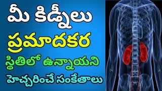 Kidney Infection Symptoms in Telugu  Signs and Symptoms of Kidney Infection Telugu [upl. by Goldwin17]