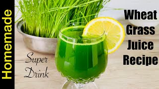 Wheatgrass Juice Recipe  Health Benefits of Wheat Grass Juice  Healthy Fresh Green Superdrink [upl. by Ilajna]