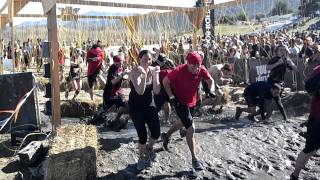 Tough Mudder Temecula Electric Shock Therapy [upl. by Akimrehs454]