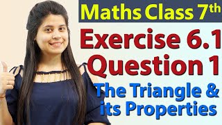 Q 1 Ex 61  The Triangle and its Properties  Chapter 6  Maths Class 7th  NCERT [upl. by Phina364]