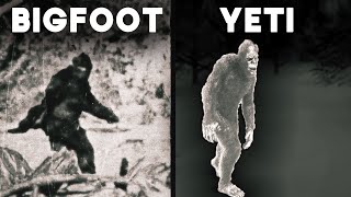 The Bigfoot amp Yeti Files Decades of Encounters and Investigations  Documentary [upl. by Eaves]