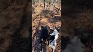 Video of Caddo Lake TX from Jeffrey [upl. by Rodama694]