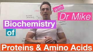 Proteins amp Amino Acids  Biochemistry [upl. by Natale300]