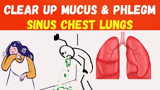 Clear Up Mucus amp Phlegm in Sinus Chest and Lungs – Breathe Freely Again [upl. by Hanna22]