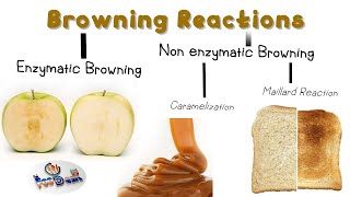 Browning Reactions in Food [upl. by Ahsemo]