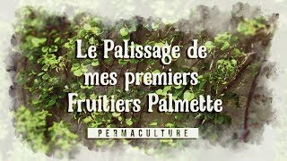 Le Palissage de mes Premiers Fruitiers Palmette 🍎🍐 [upl. by Bendicty]