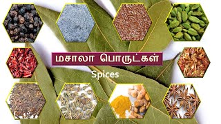 மசாலா பொருட்கள்  40 Spices name in TAMIL  மசாலா பொருட்களின் தமிழ் பெயர்கள்  Cooking Spices [upl. by Dnalyr719]