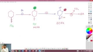 tyrosine metabolism [upl. by Yenettirb]