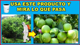 Prueba este biofertilizante y cosecharás muchos más frutos Discovery Mundo [upl. by Ivgnout501]