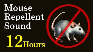 12h Mouse Repellent Noise  Highfrequency sounds Not compatible with iPhone [upl. by Aznecniv795]