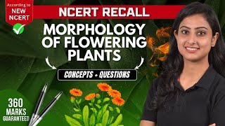 Morphology of flowering plants  Concepts  Questions  NCERT RECALL  NEET 2024 [upl. by Almeria]