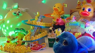 LET’S PLAY asmr asmrsounds asmrvideo satisfying toys duck cute relaxing play playtime [upl. by Aldwon997]