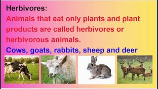 OMNIVORES CARNIVORES HERBIVORES ANIMALS FOOD HABITS [upl. by Dur]