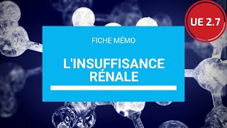 UE 27 Linsuffisance rénale [upl. by Nnyllaf111]