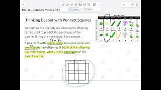 Using Punnett Squares to Determine Parental Genotype [upl. by Otirecul210]