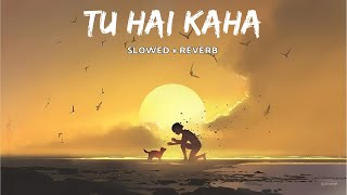 Tu Hai Kaha  Slowed  Reverb Lofi Song In Hindi  Sad Emotional Song  lofisong [upl. by Airahcaz]