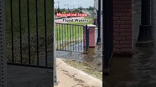 Muscatine Iowa Flood waters flood iowa [upl. by Abram127]