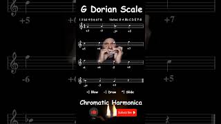 A G Dorian Scale  Formula  Notes  Jazz Chromatic Harmonica Tabs  Armonica Cromatica [upl. by Yrro901]