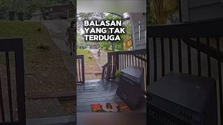 Balasan yang tak terduga shortvideo [upl. by Erreipnaej]