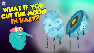 What If The Moon Split In Half  Moonquake  The Dr Binocs Show  Peekaboo Kidz [upl. by Cocks719]