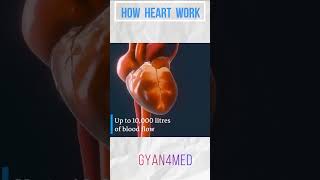 The Human Heart  How does Heart work – 3D animation [upl. by Atsirtal951]