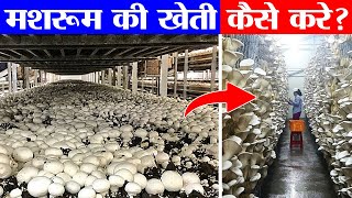 Mushroom की खेती कर के किसान कमा रहे हैं लाखों  Mushroom farming Process in hindi [upl. by Rolyat]