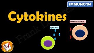 CYTOKINES  ILs INFs TNFs CSFs and Chemokines FLImmuno04 [upl. by Erdna]