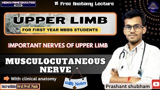 Musculocutaneous Nerve  Nerves of upper limb  Branches of musculocutaneous nerve mbbs [upl. by Yellehs]