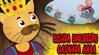 Bisada Buulkeedii Qasnada ahaa  Sheeko Xariireed  Cats Treasure Somali Moral Story  Animation [upl. by Salangi]