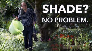 The 8 Best Ways to Grow in Shade [upl. by Mandeville]