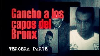 Gancho a los Capos del Bronx  Tercera Parte  Testigo Directo HD [upl. by Harlene]