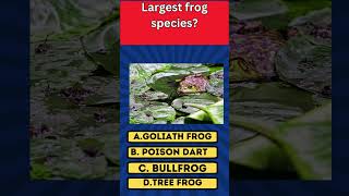 Guess the Largest frog species shortsviral fypage シ゚viral viralshorts viralvideoシ fypage [upl. by Nava]