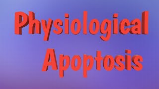 Physiological apoptosis [upl. by Fifi]