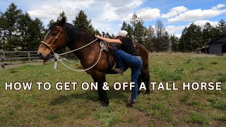 HOW TO SAFELY MOUNT amp DISMOUNT A HORSE [upl. by Fancy932]