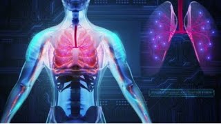 DEVELOPMENT OF LARYNX  development of respiratory system part 2 [upl. by Dacey165]