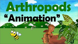 ARTHROPODS  Biology Animation [upl. by Leirrad]