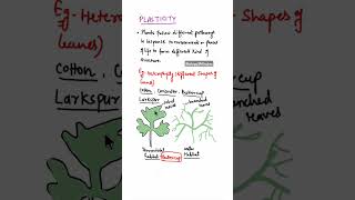 Placticity in PlantsHeterophylly in plants shorts heterophyllyinleaves [upl. by Meela]